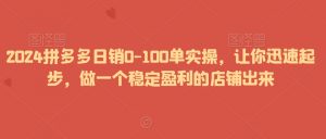 2024拼多多日销0-100单实操，让你迅速起步，做一个稳定盈利的店铺出来-八爪鱼资源库