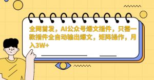 全网首发，AI公众号爆文插件，只需一款插件全自动输出爆文，矩阵操作，月入3W+【揭秘】-八爪鱼资源库