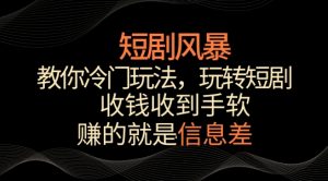 短剧风暴，教你冷门玩法，玩转短剧，收钱收到手软【揭秘】-八爪鱼资源库