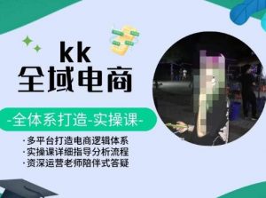 KK全域电商，全体系打造实操课，多平台打造电商逻辑体系-八爪鱼资源库