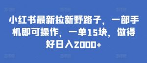 小红书最新拉新野路子，一部手机即可操作，一单15块，做得好日入2000+【揭秘】-八爪鱼资源库