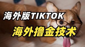 抖音海外版tiktok撸金技术，这个风口行业，赚钱真的不难【揭秘】-八爪鱼资源库