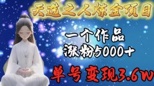 天选之人炼金项目，一个作品涨粉5000+，单号变现3.6w【揭秘】-八爪鱼资源库