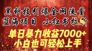 蓝海项目!黑科技引爆全网流量小红书拉新，单日暴力收益7000+，小白也能轻松上手【揭秘】-八爪鱼资源库
