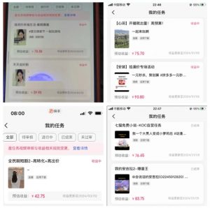 2024年3月最新，快手磁力聚星全流程实操教学，8台手机日均收益稳定100~200元【揭秘】-八爪鱼资源库