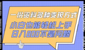 一份资料多种变现方式，小白也能轻松上手，日入800不是问题【揭秘】-八爪鱼资源库