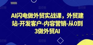 AI闪电做外贸实战课，​外贸建站-开发客户-内容营销-从0到3做外贸AI-八爪鱼资源库