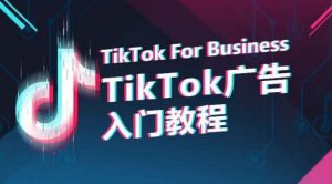 TikTok广告入门教程,从0到1掌握TikTok投放的全流程-八爪鱼资源库