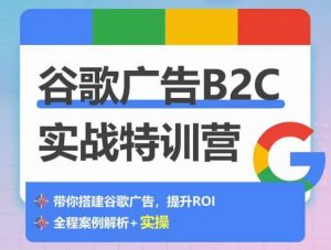 谷歌广告B2C实战特训营，500+谷歌账户总结经验，实战演示如何从0-1搭建广告账户-八爪鱼资源库