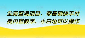 全新蓝海项目，零基础快手付费内容教学，小白也可以操作【揭秘】-八爪鱼资源库