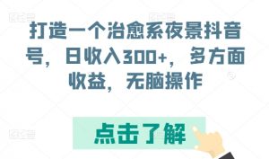 打造一个治愈系夜景抖音号，日收入300+，多方面收益，无脑操作【揭秘】-八爪鱼资源库
