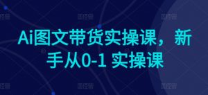 Ai图文带货实操课，新手从0-1 实操课-八爪鱼资源库