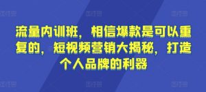 流量内训班，相信爆款是可以重复的，短视频营销大揭秘，打造个人品牌的利器-八爪鱼资源库