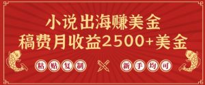 小说出海赚美金，稿费月收益2500+美金，仅需chatgpt粘贴复制，新手也能玩转【揭秘】-八爪鱼资源库