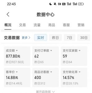 拼多多虚拟U盘电商红利项目：月赚2万+，新手小白也能玩-八爪鱼资源库