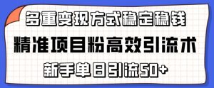 精准项目粉高效引流术，新手单日引流50+，多重变现方式稳定赚钱【揭秘】-八爪鱼资源库