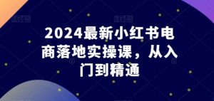 2024最新小红书电商落地实操课，从入门到精通-八爪鱼资源库