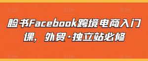 脸书Facebook跨境电商入门课，外贸·独立站必修-八爪鱼资源库