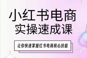 小红书电商实操速成课，让你快速掌握红书电商核心技能-八爪鱼资源库