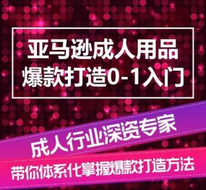 亚马逊成人用品爆款打造0-1入门，系统化讲解亚马逊成人用品爆款打造的流程-八爪鱼资源库