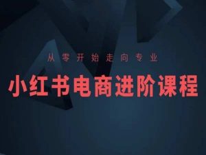 从零开始走向专业，小红书电商进阶课程-八爪鱼资源库