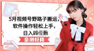 5月视频号野路子搬运，软件操作轻松上手，日入三位数【揭秘】-八爪鱼资源库