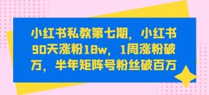 小红书私教第七期，小红书90天涨粉18w，1周涨粉破万，半年矩阵号粉丝破百万-八爪鱼资源库