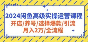 2024闲鱼高级实操运营课程：开店/养号/选择爆款/引流/月入2万/全流程-八爪鱼资源库