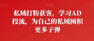 私域打粉获客，学习AD投流，为自己的私域囤积更多子弹-八爪鱼资源库