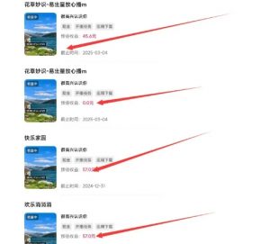 磁力聚星游戏副业陪跑训练营1.0，长期稳定项目，有人一周干了1K+-八爪鱼资源库