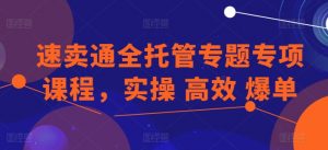 速卖通全托管专题专项课程，实操 高效 爆单-八爪鱼资源库
