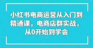 小红书电商运营从入门到精通课，电商店群实战，从0开始到学会-八爪鱼资源库