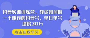 抖音实训训练营，教你如何做一个赚钱的抖音号，单日单号增粉30万-八爪鱼资源库