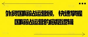 外贸国际站运营顾问,快速掌握国际站运营的底层逻辑-八爪鱼资源库