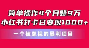 简单操作4个月赚9w,小红书打卡日变现1k,一个被忽视的暴力项目【揭秘】-八爪鱼资源库