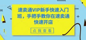速卖通VIP新手快速入门班，手把手教你在速卖通快速开店-八爪鱼资源库