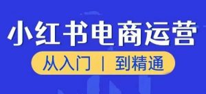 小红书电商运营课，从入门到精通，带你抓住又一个赚钱风口-八爪鱼资源库
