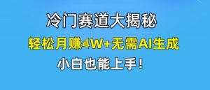 冷门赛道大揭秘，轻松月赚1W+无需AI生成，小白也能上手【揭秘】-八爪鱼资源库