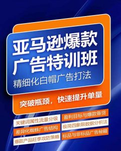 亚马逊爆款广告特训班,快速掌握亚马逊关键词库搭建方法,有效优化广告数据并提升旺季销量-八爪鱼资源库