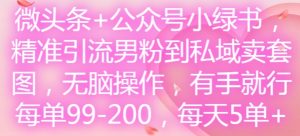 微头条+公众号小绿书，精准引流男粉到私域卖套图，无脑操作，有手就行，每单99-200，每天5单-八爪鱼资源库