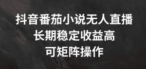 抖音番茄小说无人直播，长期稳定收益高，可矩阵操作【揭秘】-八爪鱼资源库