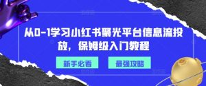从0-1学习小红书聚光平台信息流投放，保姆级入门教程-八爪鱼资源库