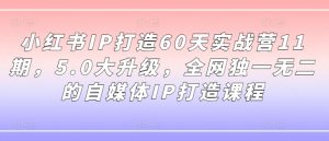 小红书IP打造60天实战营11期,5.0大升级,全网独一无二的自媒体IP打造课程-八爪鱼资源库