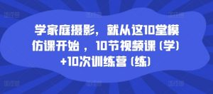 学家庭摄影，就从这10堂模仿课开始 ，10节视频课(学)+10次训练营(练)-八爪鱼资源库