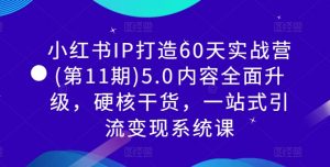 小红书IP打造60天实战营(第11期)5.0​内容全面升级，硬核干货，一站式引流变现系统课-八爪鱼资源库