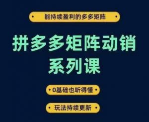 拼多多矩阵动销系列课，能持续盈利的多多矩阵，0基础也听得懂，玩法持续更新-八爪鱼资源库