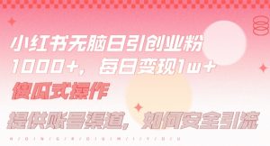 小红书无脑每日引流创业粉500+，小白每天只花半小时，躺赚长尾收益【揭秘】-八爪鱼资源库