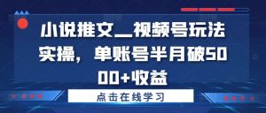 小说推文—视频号玩法实操，单账号半月破5000+收益-八爪鱼资源库