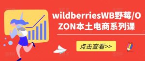 wildberriesWB野莓/OZON本土电商系列课，掌握WB产品优化，出单技巧和订单处理等-八爪鱼资源库