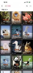 动物科普解说项目，撸创作者伙伴计划收益，保姆级实战教程-八爪鱼资源库